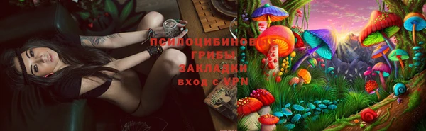 трава Верхнеуральск