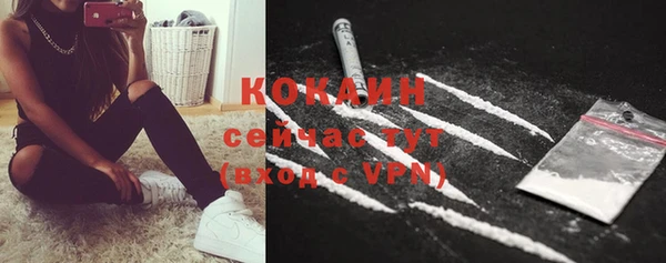 PSILOCYBIN Верея