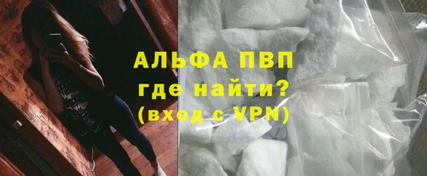 PSILOCYBIN Верея