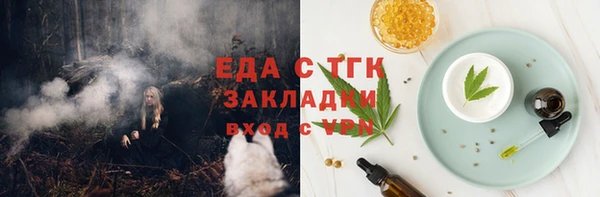 амф Верхний Тагил