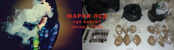 PSILOCYBIN Верея