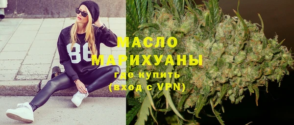 амф Верхний Тагил