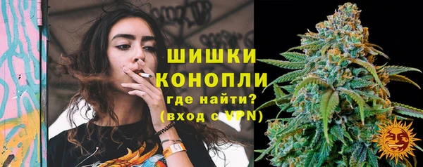 PSILOCYBIN Верея