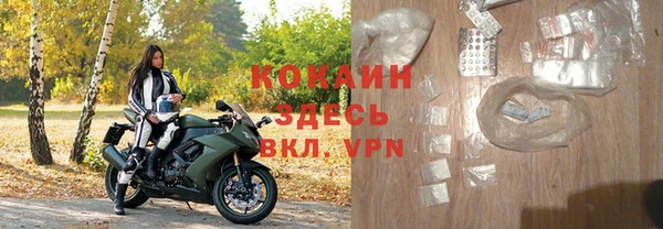 амф Верхний Тагил